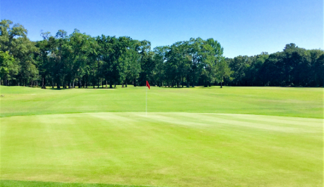 view of golf course green